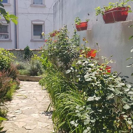 Garden Apartments Belgrado Exterior foto